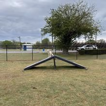 Harmon Playfield Park photo 1